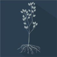 disciple icon