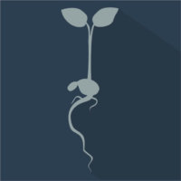 win icon